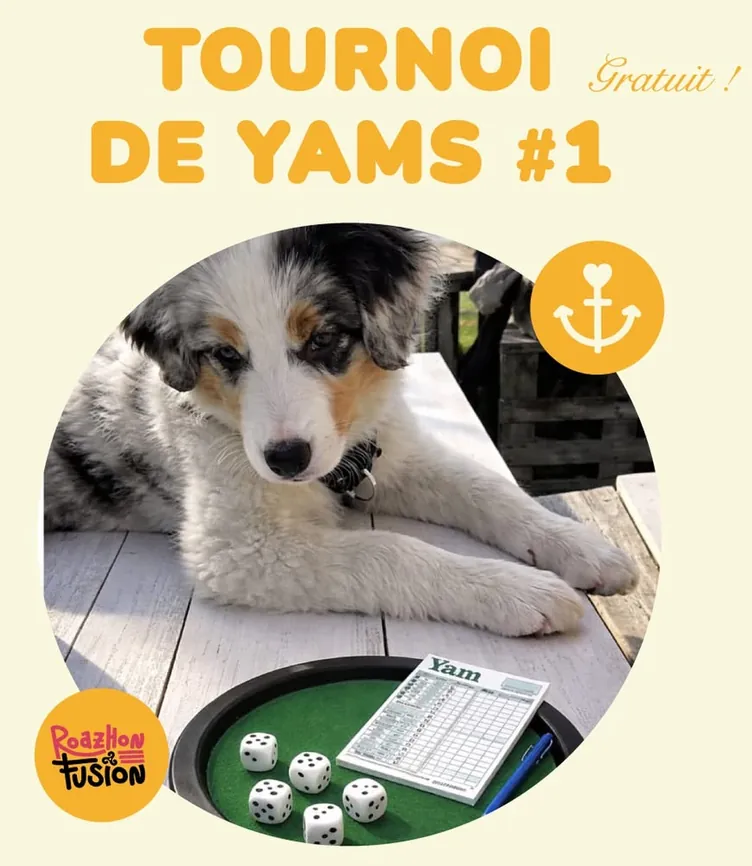 Affiche du tournoi de yams Roazhon Fusion